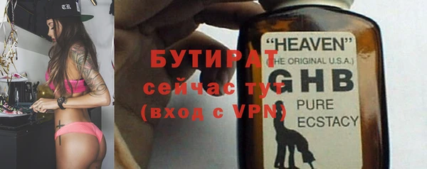 гидра Надым