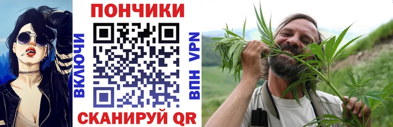 где купить Пучеж Шишки марихуана Ganja